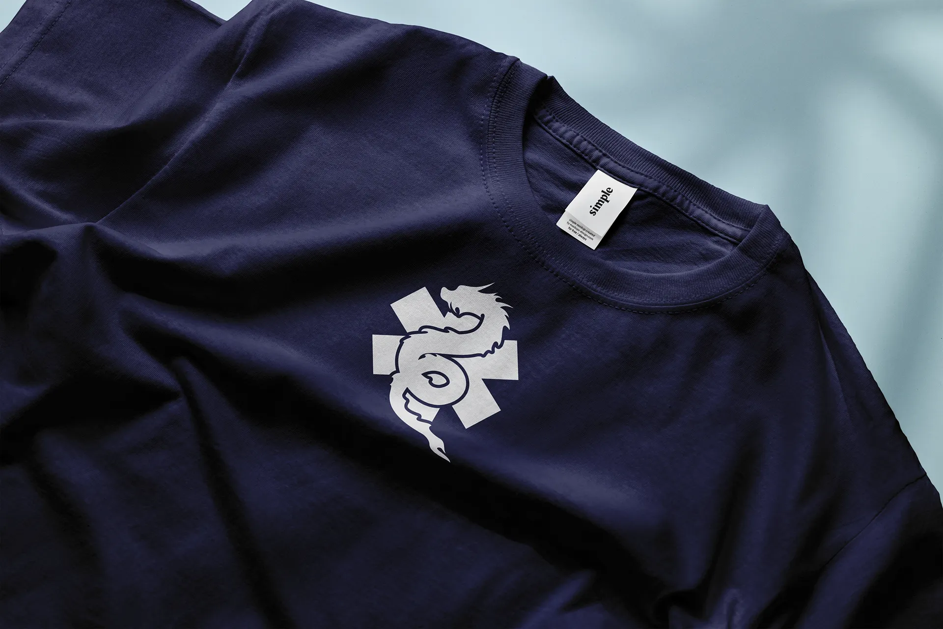 Infi & soins d'urgences 2024