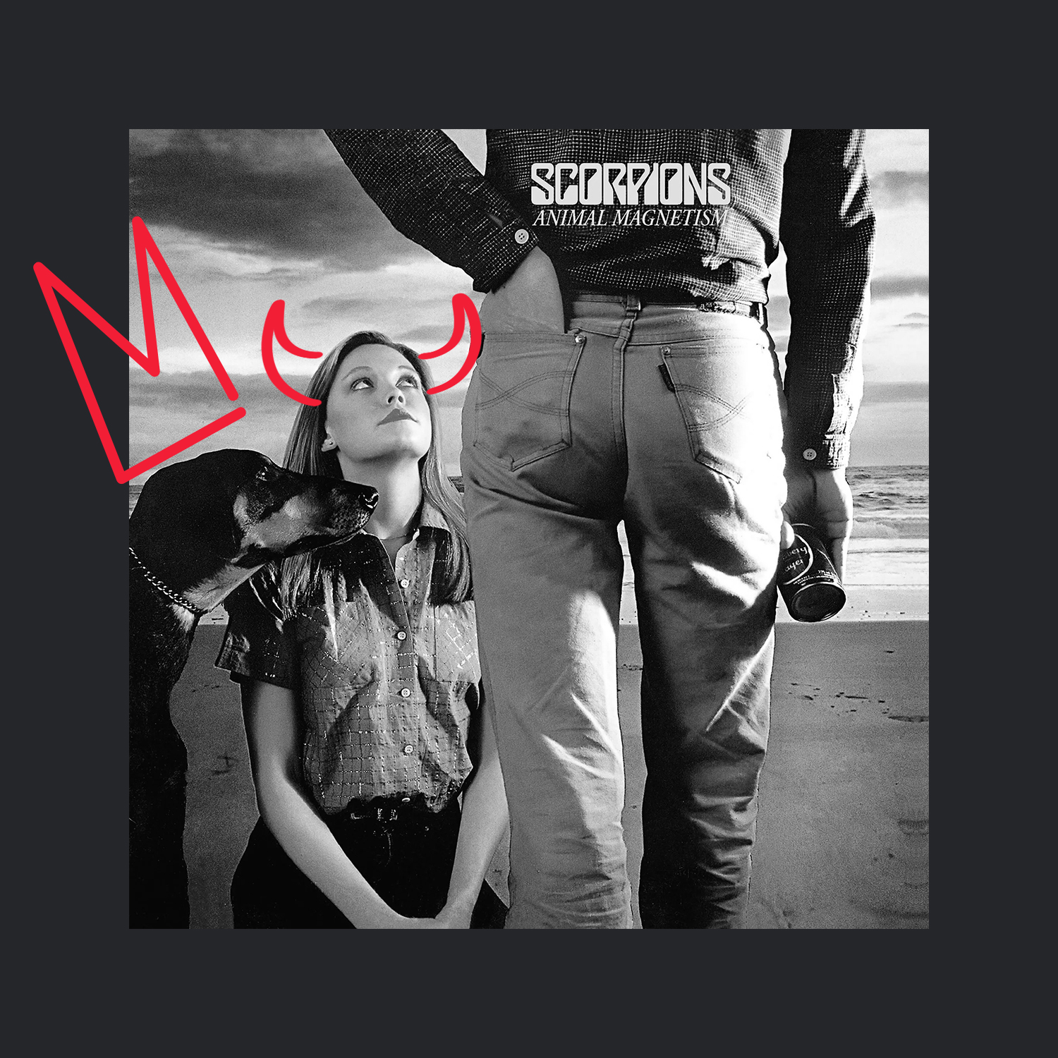 cover Animal Magnetism